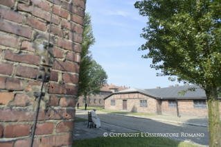 18-Apostolic Journey to Poland: Visit to Auschwitz