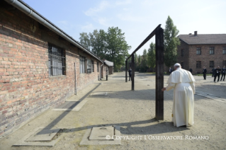 22-Voyage apostolique en Pologne : Visite &#xe0; Auschwitz