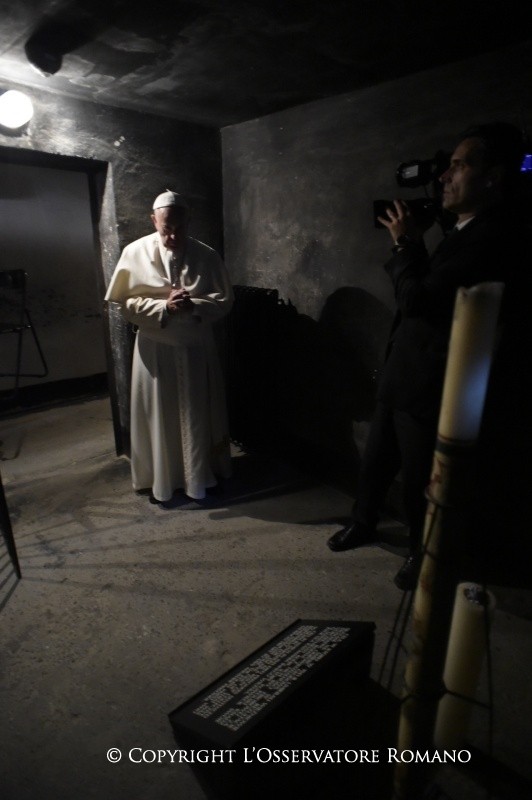 25-Voyage apostolique en Pologne : Visite &#xe0; Auschwitz