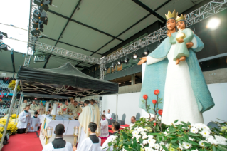 14-Viaje apostólico a Suecia: Santa Misa en el Swedbank Stadion