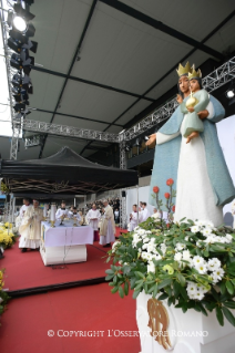 4-Viaje apostólico a Suecia: Santa Misa en el Swedbank Stadion