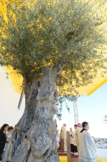 8-Visita pastoral a Molfetta, Bari: Concelebración eucarística