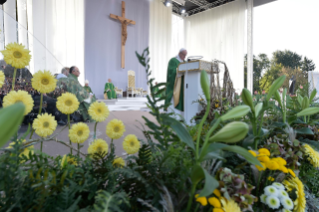 15-Voyage apostolique en Lituanie : Messe