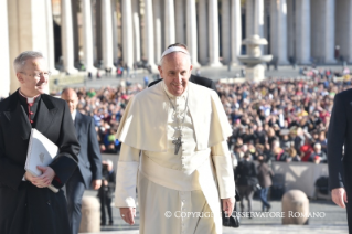 8-Udienza Generale del 19 novembre 2014