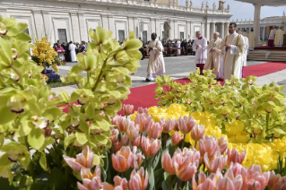 23-Santa Misa del Segundo Domingo de Pascua o de la Divina Misericordia