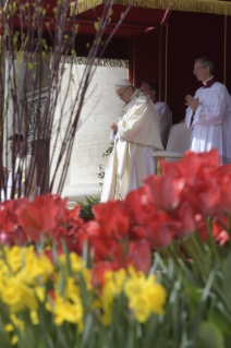 10-Santa Misa del Segundo Domingo de Pascua o de la Divina Misericordia