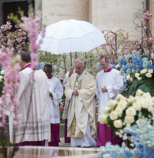 5-Easter Sunday - Mass of the Day