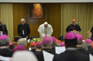 11-Encuentro "La protección de los menores en la Iglesia" [Vaticano, Aula nueva del Sínodo, 21-24 de febrero de 2019]