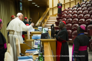 58-XIV Assembleia Geral Ordinária do Sínodo dos Bispos  [4-25 de outubro de 2015]
