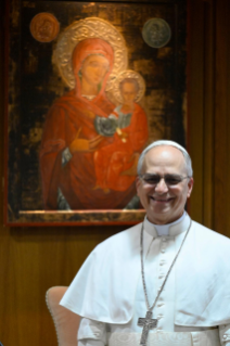 13-Audiência aos Membros do Colégio Cardinalício 