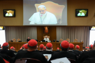 25-Audiência aos Membros do Colégio Cardinalício 