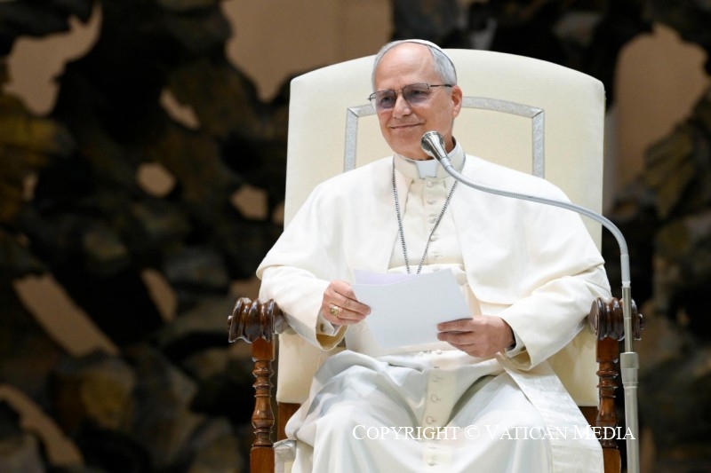 4-Audiencia del Santo Padre Le&oacute;n XIV a los representantes de los medios de comunicaci&oacute;n 