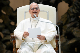6-Audience of the Holy Father Leo XIV to representatives of the media