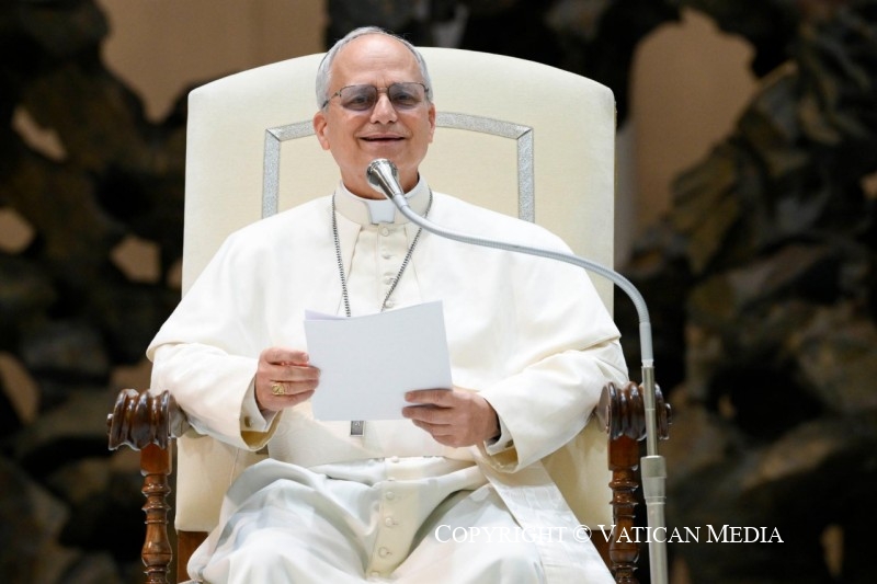 6-Audiencia del Santo Padre Le&oacute;n XIV a los representantes de los medios de comunicaci&oacute;n 