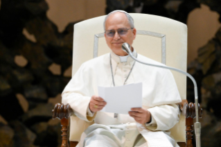 8-Audience of the Holy Father Leo XIV to representatives of the media