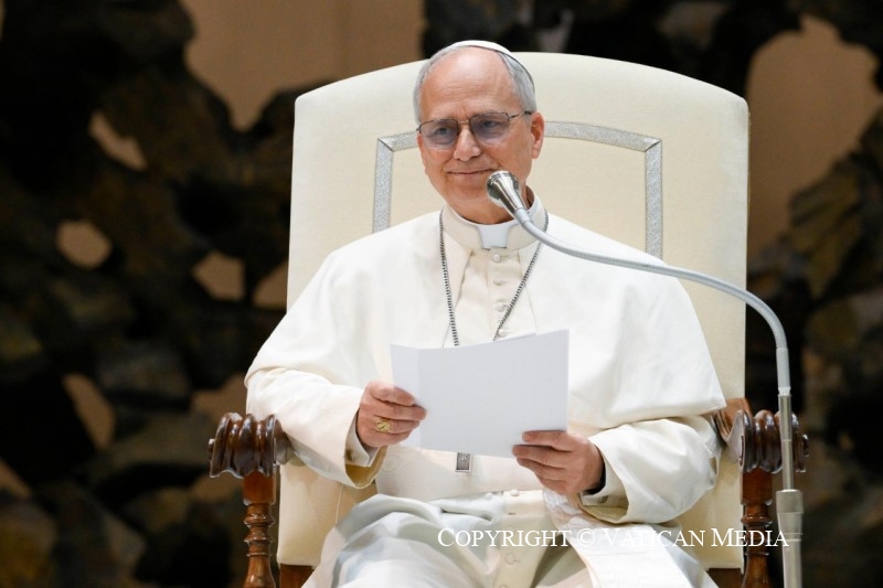 8-Audiencia del Santo Padre Le&oacute;n XIV a los representantes de los medios de comunicaci&oacute;n 