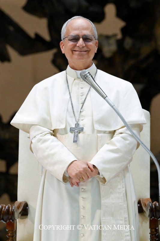 5-Audiencia del Santo Padre Le&oacute;n XIV a los representantes de los medios de comunicaci&oacute;n 