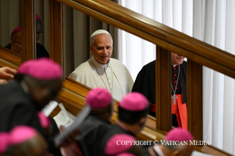 7-A los nuevos obispos y a los obispos de los pa&iacute;ses de misi&oacute;n