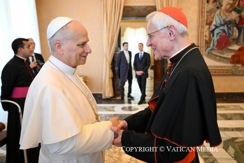 4-To Members of the Board of the Vatican Observatory Foundation 