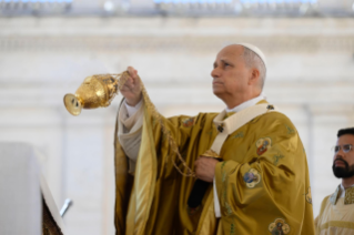 14-23<sup>rd</sup> Sunday in Ordinary Time – Holy Mass with Canonisations