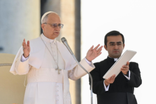 28-Audiencia general