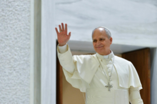 45-Audiencja generalna 