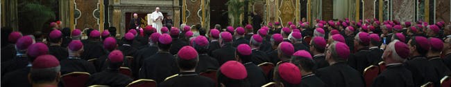 Congregation for Bishops - Structure