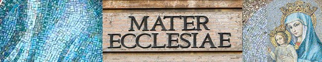 Pontificia Accademia Mariana Internazionale - Profilo
