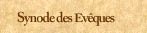 Synode des &Eacute;v&ecirc;ques