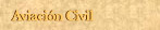 Aviaci&oacute;n Civil